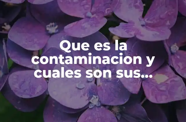 Que es la Contaminacion y Cuales Son Sus Consecuencias