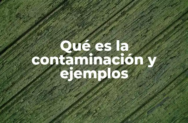Qué es la Contaminación y Ejemplos