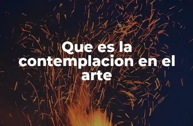 Que es la Contemplacion en el Arte