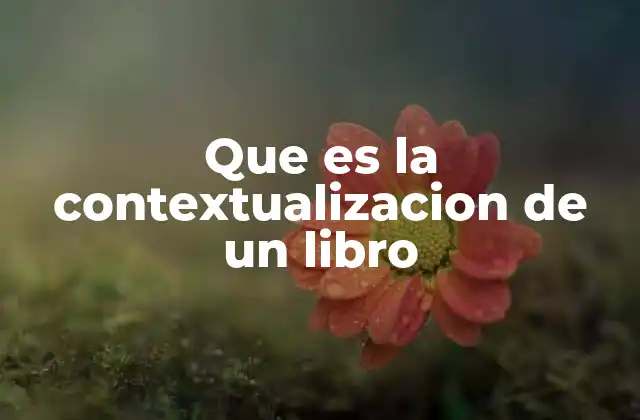 Que es la Contextualizacion de un Libro