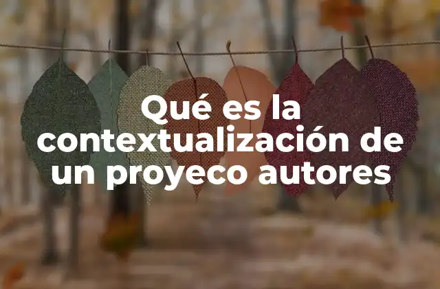 Qué es la Contextualización de un Proyeco Autores