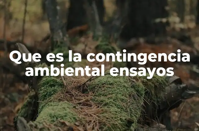 Que es la Contingencia Ambiental Ensayos