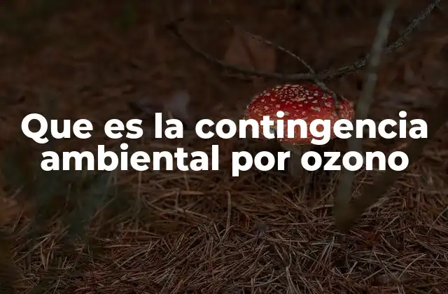 Los efectos de la contaminación por ozono en la salud pública