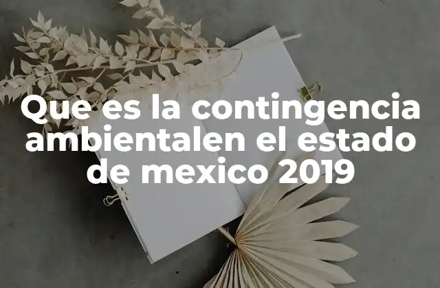 Que es la Contingencia Ambientalen el Estado de Mexico 2019