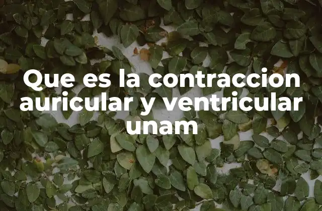 Que es la Contraccion Auricular y Ventricular Unam