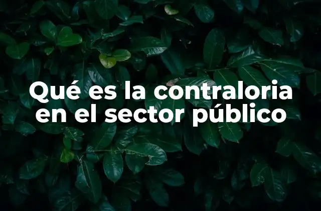 Qué es la Contraloria en el Sector Público 2 El papel de la supervisión en la gestión pública