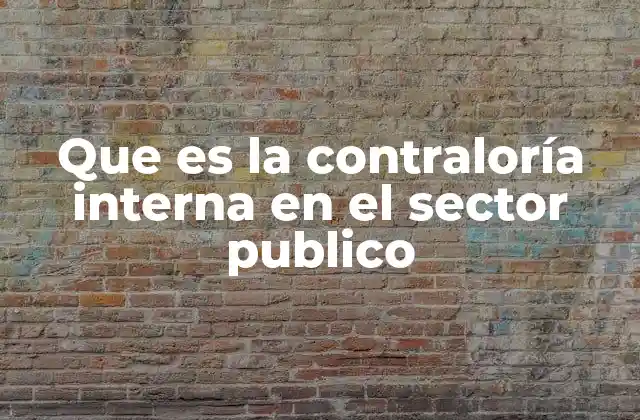 Que es la Contraloría Interna en el Sector Publico