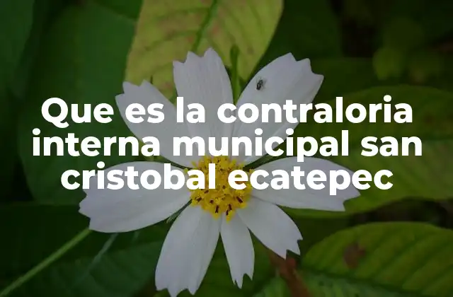 Que es la Contraloria Interna Municipal San Cristobal Ecatepec