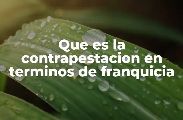 Que es la Contrapestacion en Terminos de Franquicia