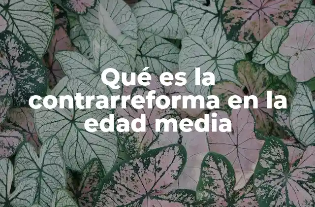 Qué es la Contrarreforma en la Edad Media