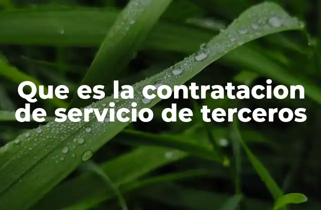 Que es la Contratacion de Servicio de Terceros