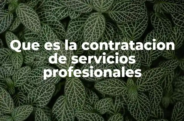 Que es la Contratacion de Servicios Profesionales