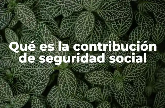 Qué es la Contribución de Seguridad Social