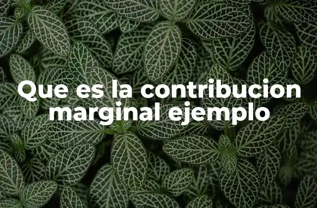 Que es la Contribucion Marginal Ejemplo 2 La relación entre costos variables e ingresos en la contribución marginal