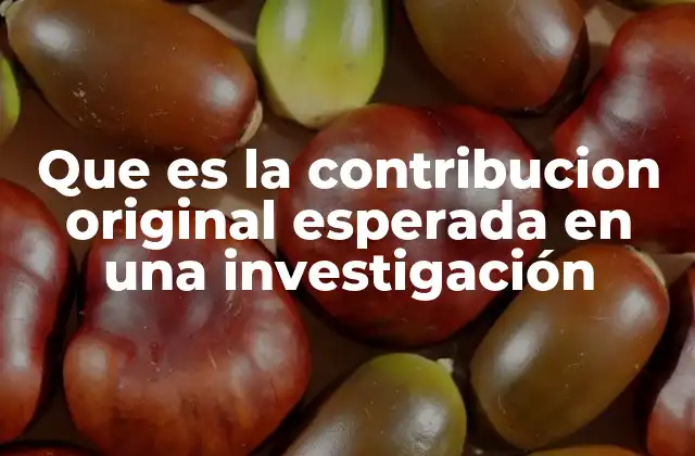 Que es la Contribucion Original Esperada en una Investigación
