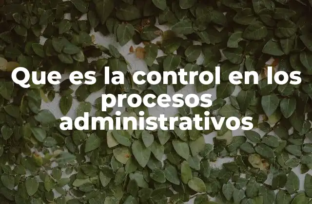 Que es la Control en los Procesos Administrativos