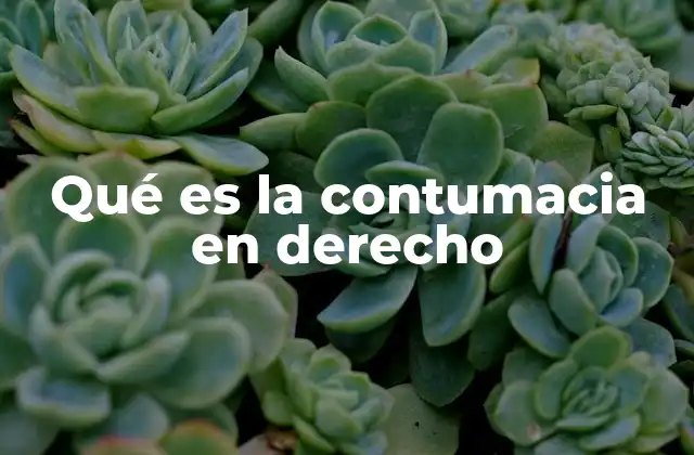 Qué es la Contumacia en Derecho