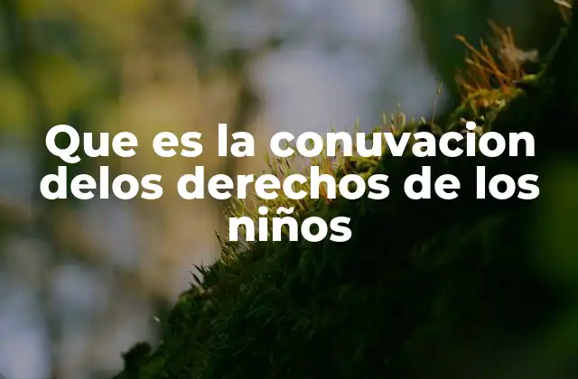 Que es la Conuvacion Delos Derechos de los Niños