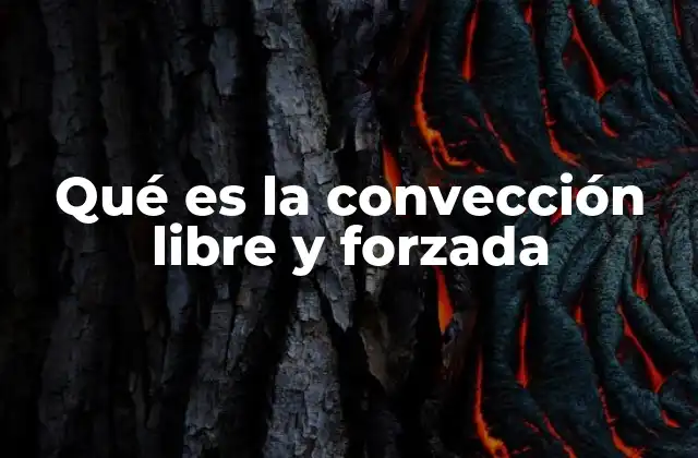 Qué es la Convección Libre y Forzada