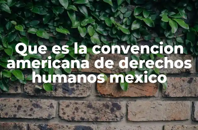 Que es la Convencion Americana de Derechos Humanos Mexico