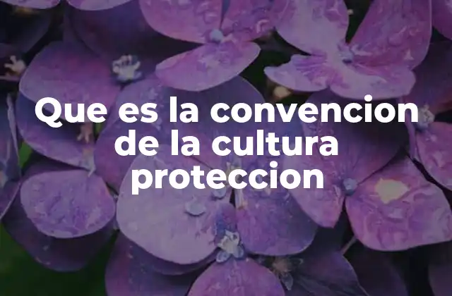 Que es la Convencion de la Cultura Proteccion