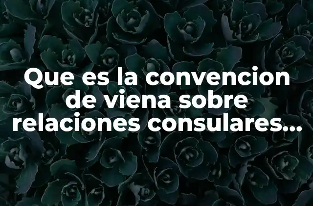 Que es la Convencion de Viena sobre Relaciones Consulares 1963