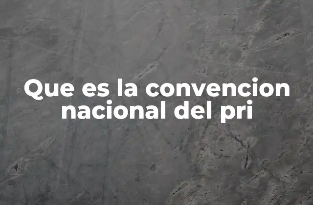 Que es la Convencion Nacional Del Pri