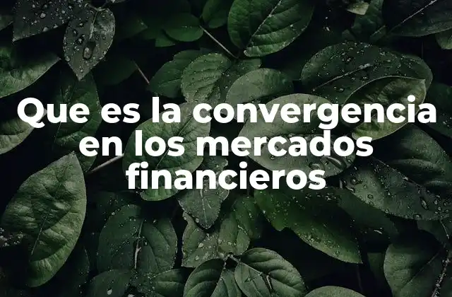 Que es la Convergencia en los Mercados Financieros