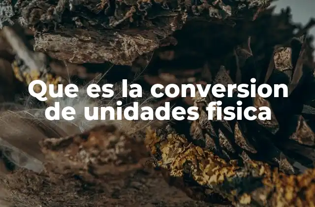 Que es la Conversion de Unidades Fisica