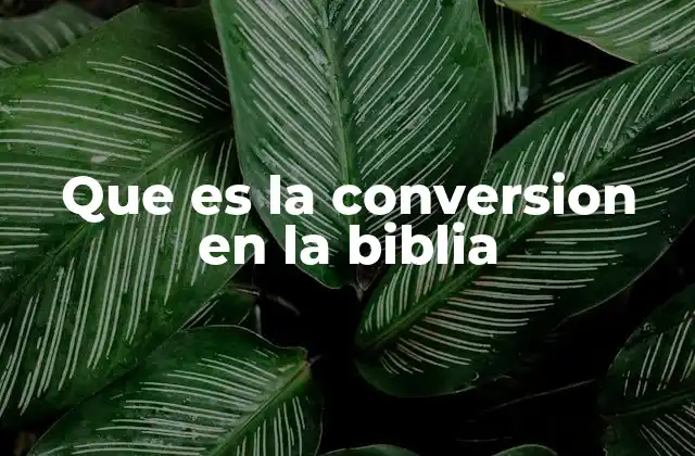 Que es la Conversion en la Biblia 2 El proceso espiritual detrás del cambio de vida