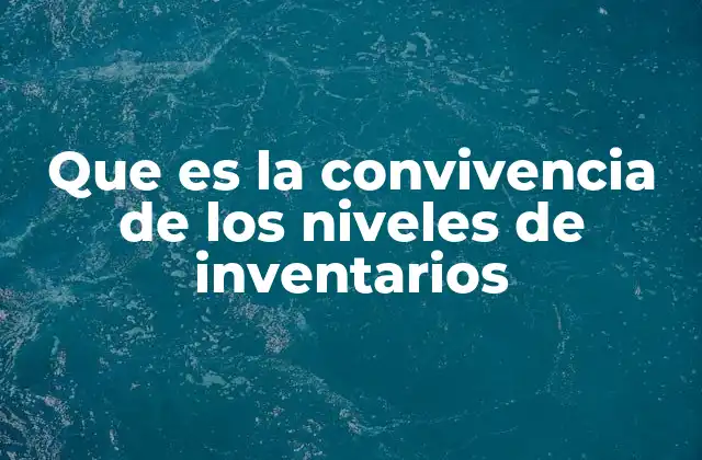 Que es la Convivencia de los Niveles de Inventarios