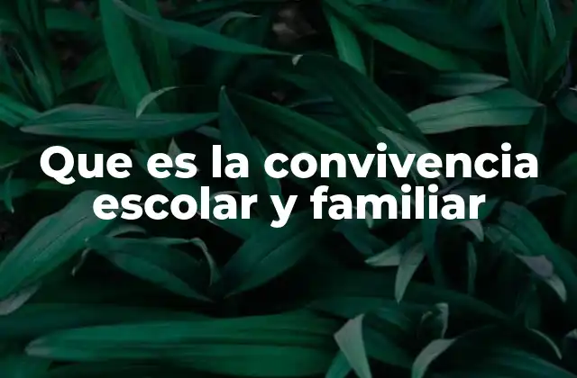 Que es la Convivencia Escolar y Familiar