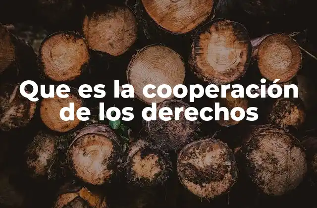 Que es la Cooperación de los Derechos