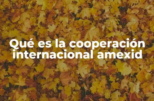 Qué es la Cooperación Internacional Amexid