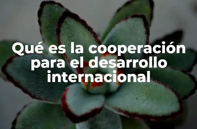 Qué es la Cooperación para el Desarrollo Internacional
