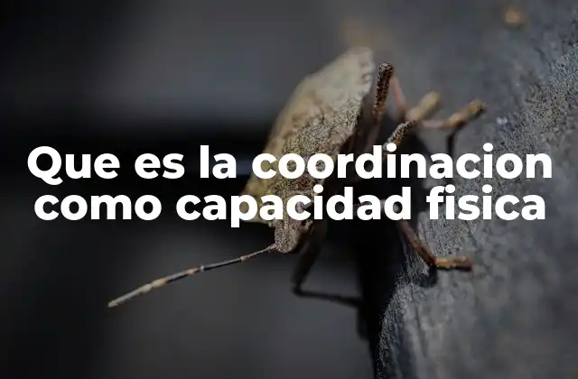 Que es la Coordinacion como Capacidad Fisica