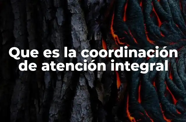 Que es la Coordinación de Atención Integral