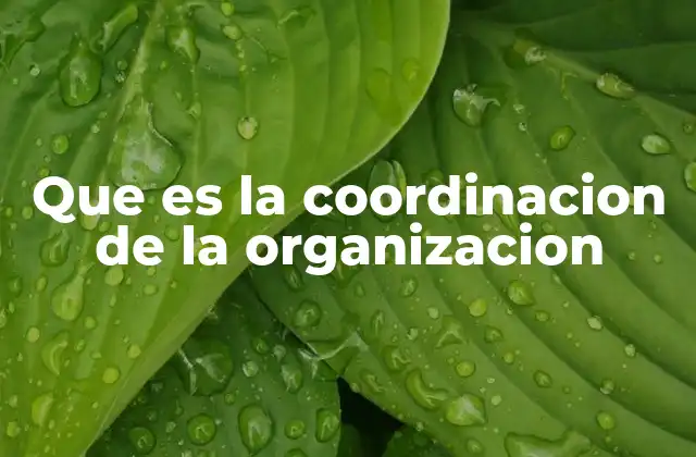 Que es la Coordinacion de la Organizacion