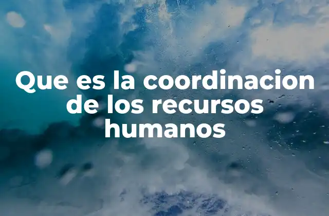 Que es la Coordinacion de los Recursos Humanos