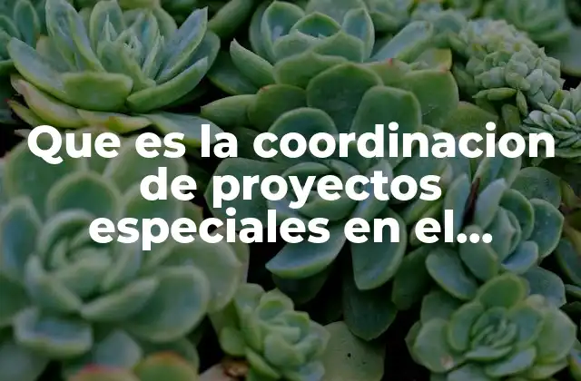 Que es la Coordinacion de Proyectos Especiales en el Gobernado