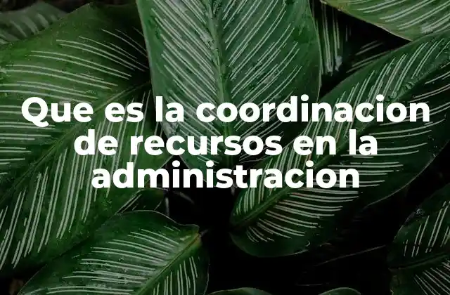 Que es la Coordinacion de Recursos en la Administracion