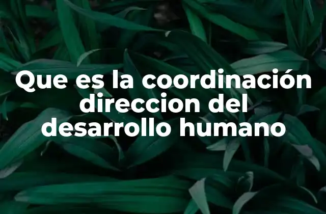 Que es la Coordinación Direccion Del Desarrollo Humano