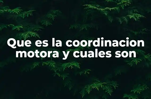 Que es la Coordinacion Motora y Cuales Son