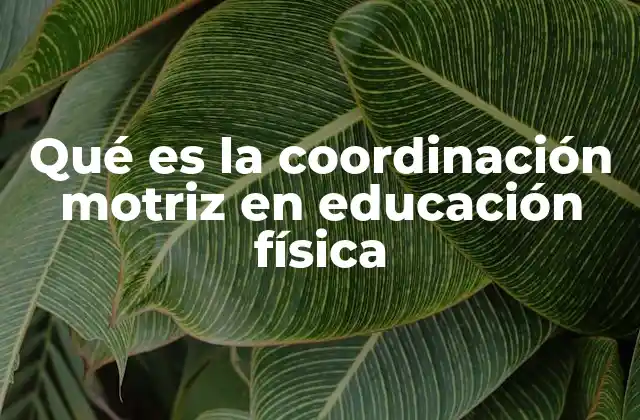 Qué es la Coordinación Motriz en Educación Física
