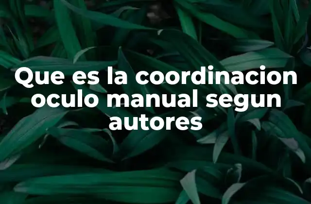Que es la Coordinacion Oculo Manual Segun Autores