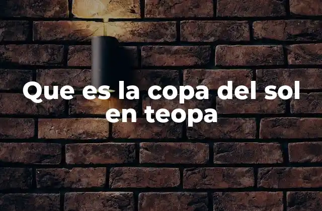 Que es la Copa Del Sol en Teopa