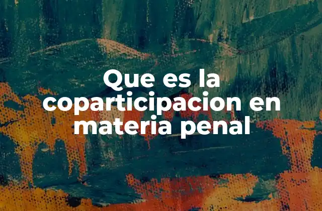 Que es la Coparticipacion en Materia Penal