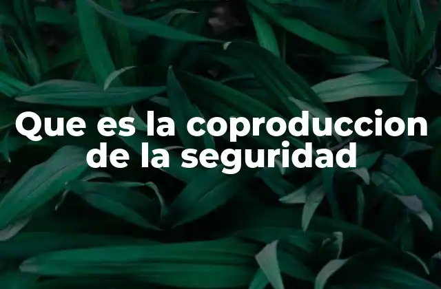 Que es la Coproduccion de la Seguridad