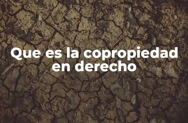 Que es la Copropiedad en Derecho