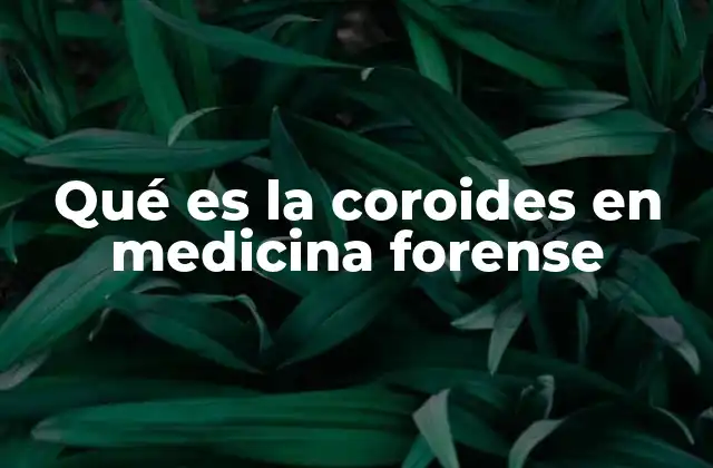 Qué es la Coroides en Medicina Forense